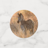 朝日の出の写真のゼブラ コンフェッティ (スモール正面)