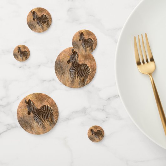 朝日の出の写真のゼブラ コンフェッティ (グループ)