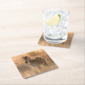 朝日の出の写真のゼブラ スクエアペーパーコースター (インサイチュ)