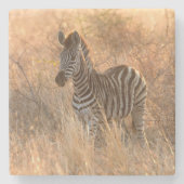 朝日の出の写真のゼブラ ストーンコースター (正面)