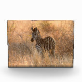 朝日の出の写真のゼブラ フォトブロック (正面)