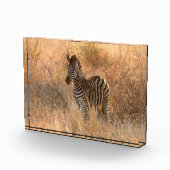 朝日の出の写真のゼブラ フォトブロック (右)