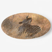 朝日の出の写真のゼブラ ペーパープレート (アングル)