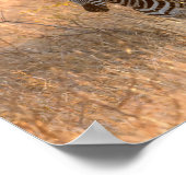 朝日の出の写真のゼブラ ポスター (角)