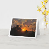 朝日風景 カード (黄色い花)