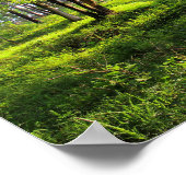 朝林 ポスター (角)