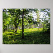 朝林 ポスター (正面)