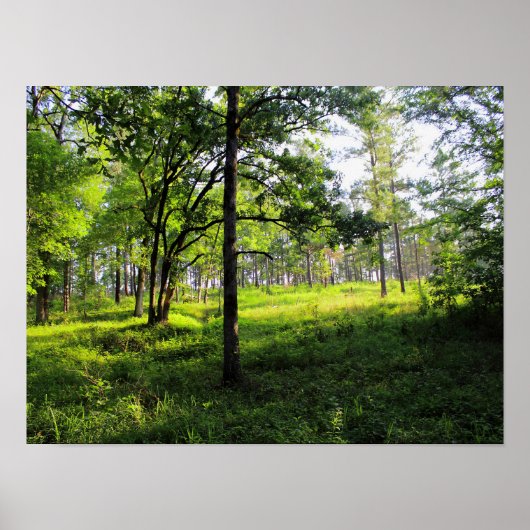 朝林 ポスター (正面)