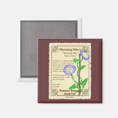 朝栄光シードパケット マグネット (正面/裏面)