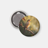 朝歌を歌う鳥 マグネット (正面/裏面)