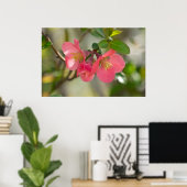 朝焼け珊瑚花の花梨のポスター ポスター (ホームオフィス)