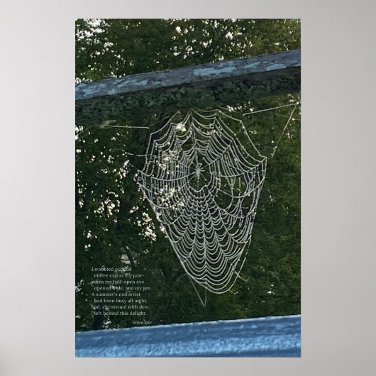 朝焼け、露に覆われたクモの巣 ポスター (正面)