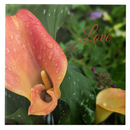 朝花 タイル (正面)