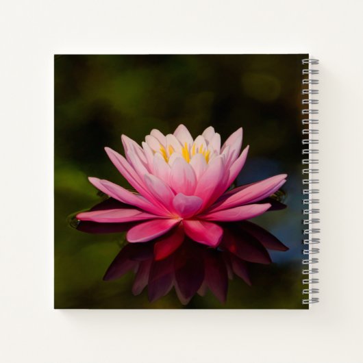 朝花 ノートブック (裏面)