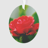 朝赤バラが露で覆われた オーナメント (正面)