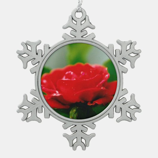 朝赤バラが露で覆われた スノーフレークピューターオーナメント (正面)