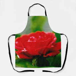 朝赤薔薇は露に覆われ エプロン