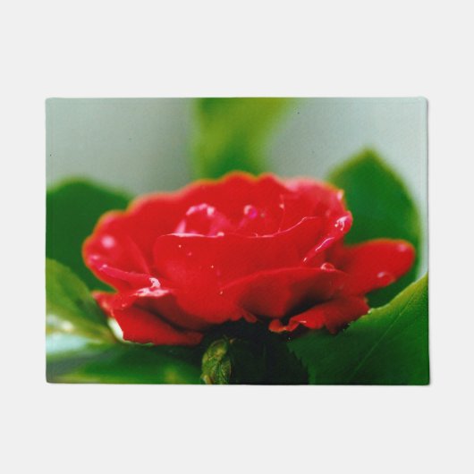 朝赤薔薇は露に覆われ ドアマット (正面)