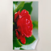 朝赤薔薇は露に覆われ ビーチタオル (正面)