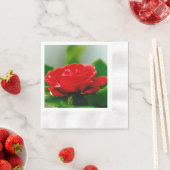 朝赤薔薇は露に覆われ 縁ありカクテルナプキン (インサイチュ)