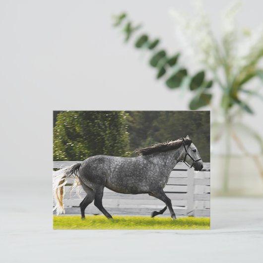 朝走 ポストカード (スタンド正面)