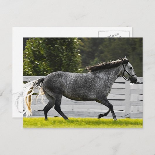 朝走 ポストカード (正面/裏面)