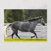 朝走 ポストカード (正面)