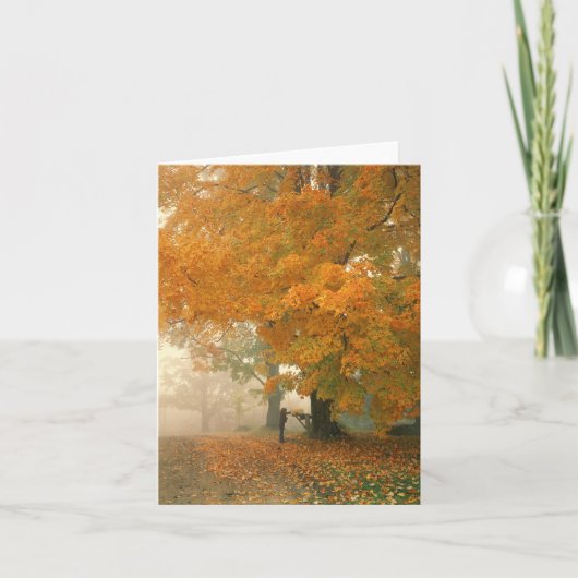 朝郵便メッセージカード カード (正面)