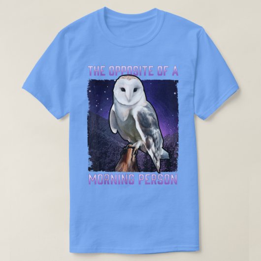 朝野鳥の夜の向かいの雪ふくろ Tシャツ (デザイン正面)