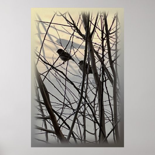 朝野鳥 ポスター (正面)