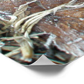 朝霜の降りたの葉ポスター ポスター (角)