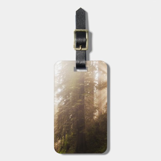 朝霧の中のセコイアの木と日射 ラゲッジタグ (正面縦)