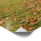 朝霧 ポスター (コーナー)