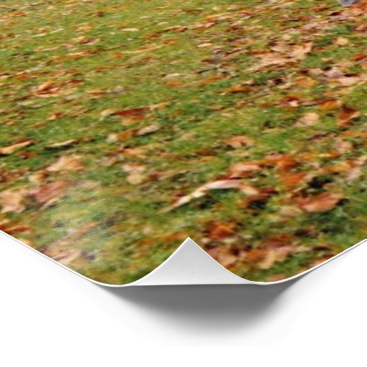 朝霧 ポスター (コーナー)