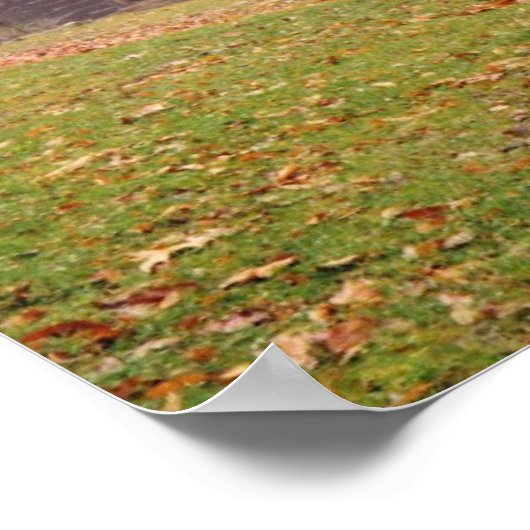 朝霧 ポスター (角)