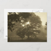 朝霧 ポストカード (正面/裏面)