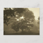 朝霧 ポストカード (正面)