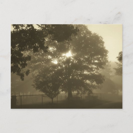 朝霧 ポストカード (正面)