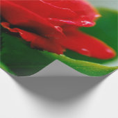 朝露に濡れた赤いバラ ラッピングペーパー (角)
