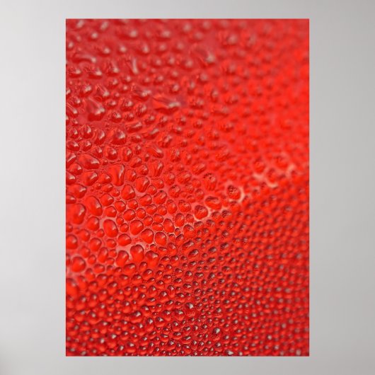 朝露の滴 ポスター (正面)