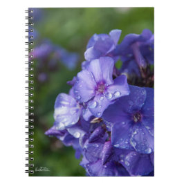 朝露の紫の花ノート ノートブック