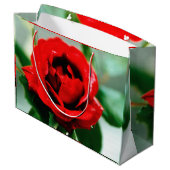 朝露の輝く赤いバラ ラージペーパーバッグ (裏面アングル)
