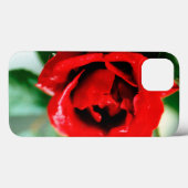 朝露の輝く赤いバラ Case-Mate iPhoneケース (裏面 (横))