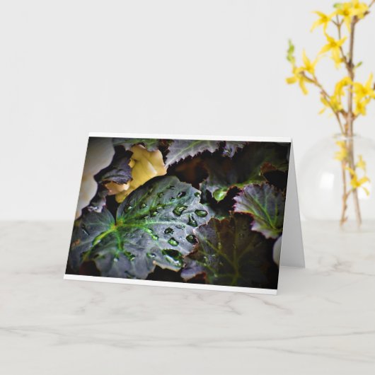 朝露カード カード (黄色い花)