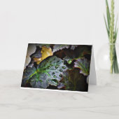 朝露カード カード (正面)