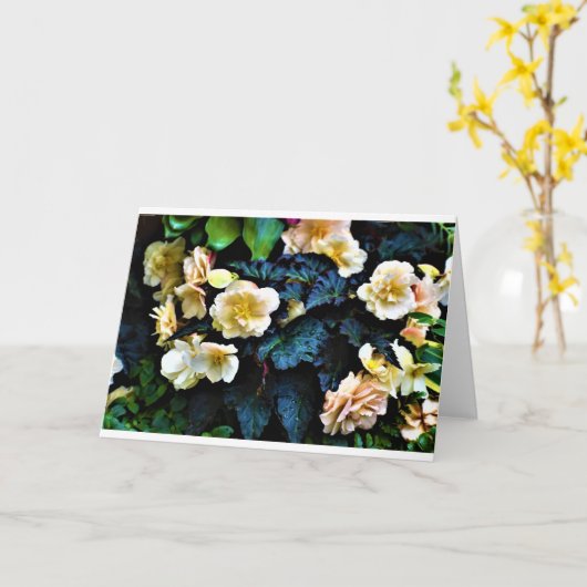 朝露カード カード (黄色い花)