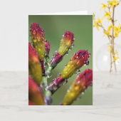 朝露カード カード (黄色い花)