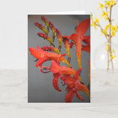 朝露カード カード (黄色い花)