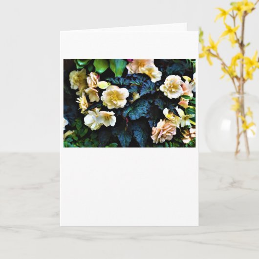 朝露カード カード (黄色い花)