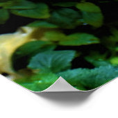 朝露ポスター ポスター (角)